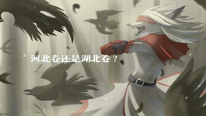 河北卷还是湖北卷?