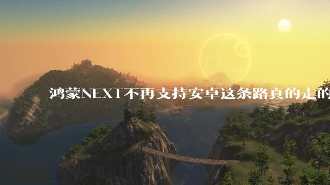 鸿蒙NEXT不再支持安卓这条路真的走的通吗?