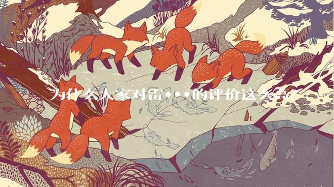 为什么大家对雷***的评价这么高？