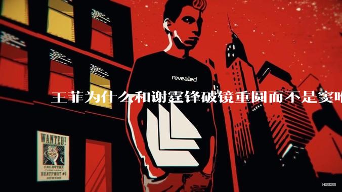 王菲为什么和谢霆锋破镜重圆而不是窦唯？